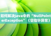 如何解决Java中的“NullPointerException”（空指针异常）