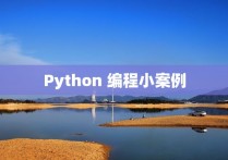 Python 编程小案例
