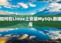如何在Linux上安装MySQL数据库