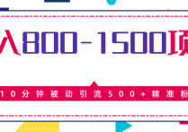 【说站】日入800-1500的最新项目教程_暴利项目10分钟被动引流500+精准粉